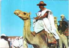 Туарег в Сахаре